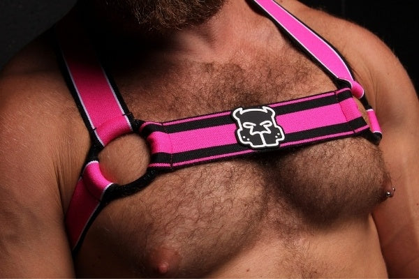 CellBlock13 Scout Harnesses