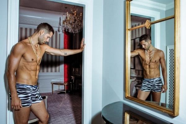Modus Vivendi Zebra Collection
