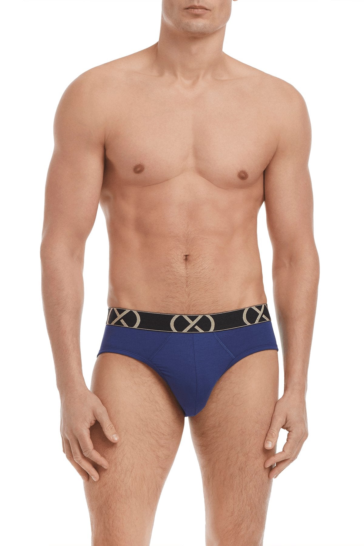 2(X)Ist (X)Luxe  No Show Brief Blue