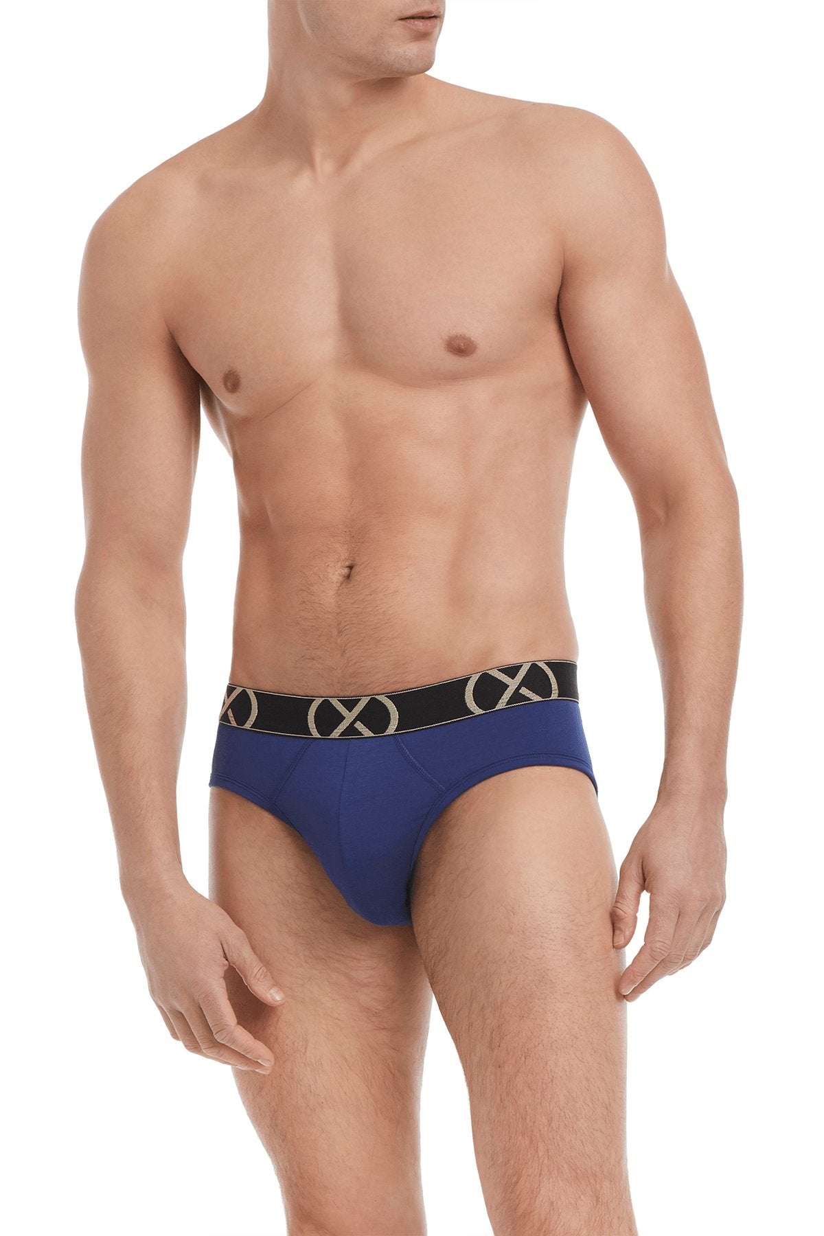 2(X)Ist (X)Luxe  No Show Brief Blue