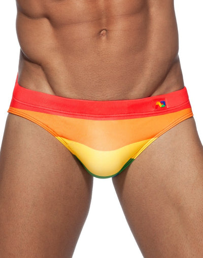 Addicted Rainbow AD Swim Bikini