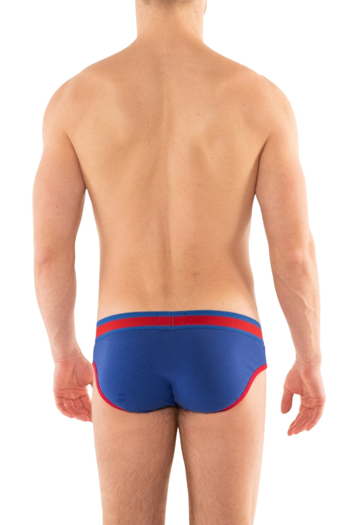 G S royal California Brief