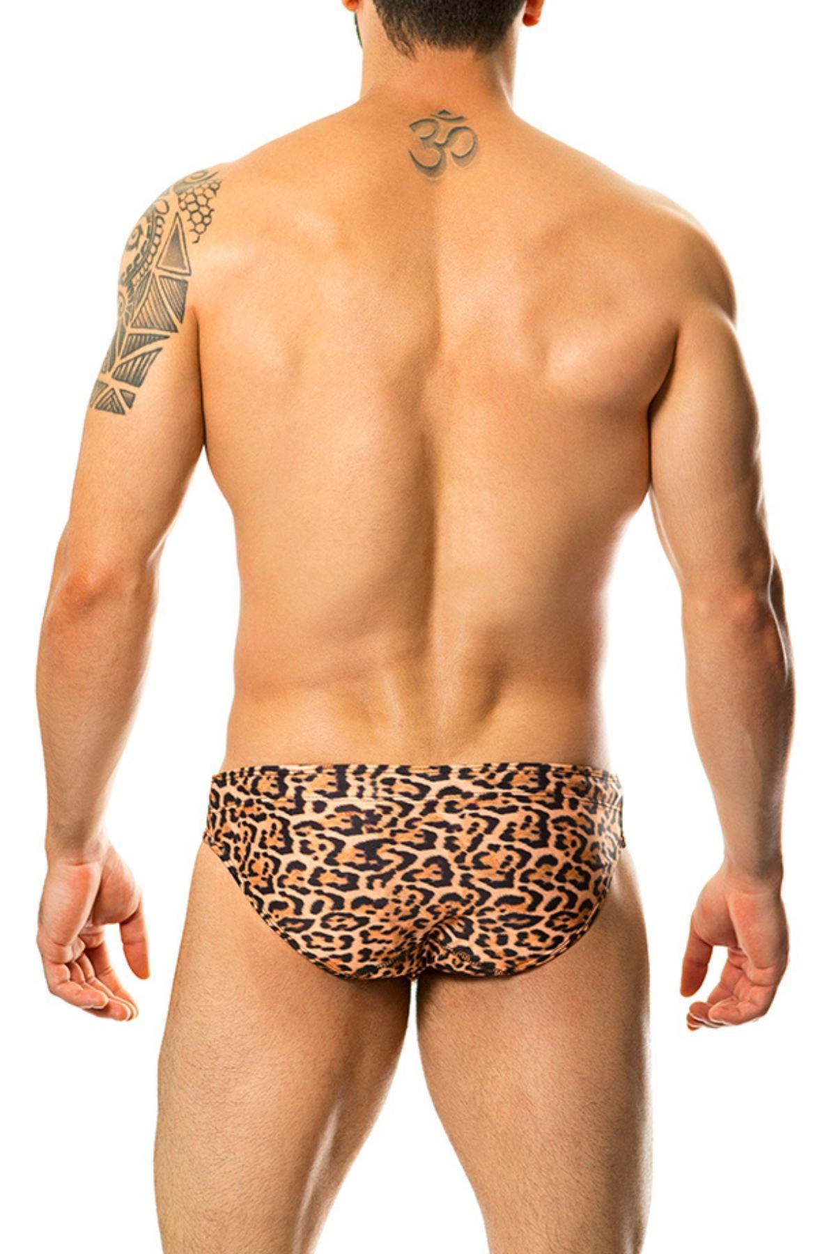 Gigo Feline Swim Brief