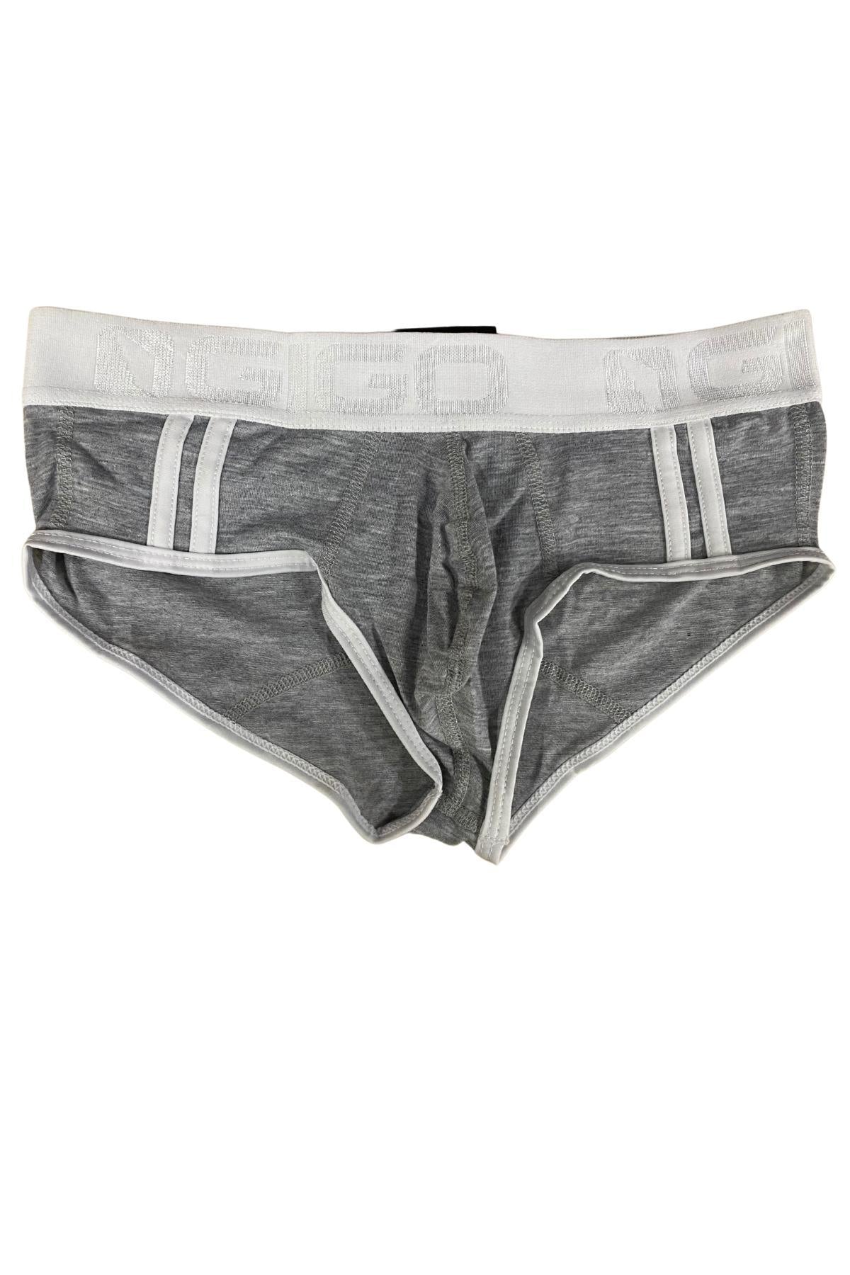 Gigo Grey Cautious Brief