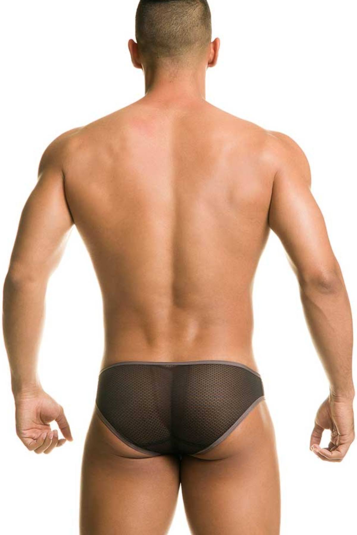 Gigo Grey Destructive Brief