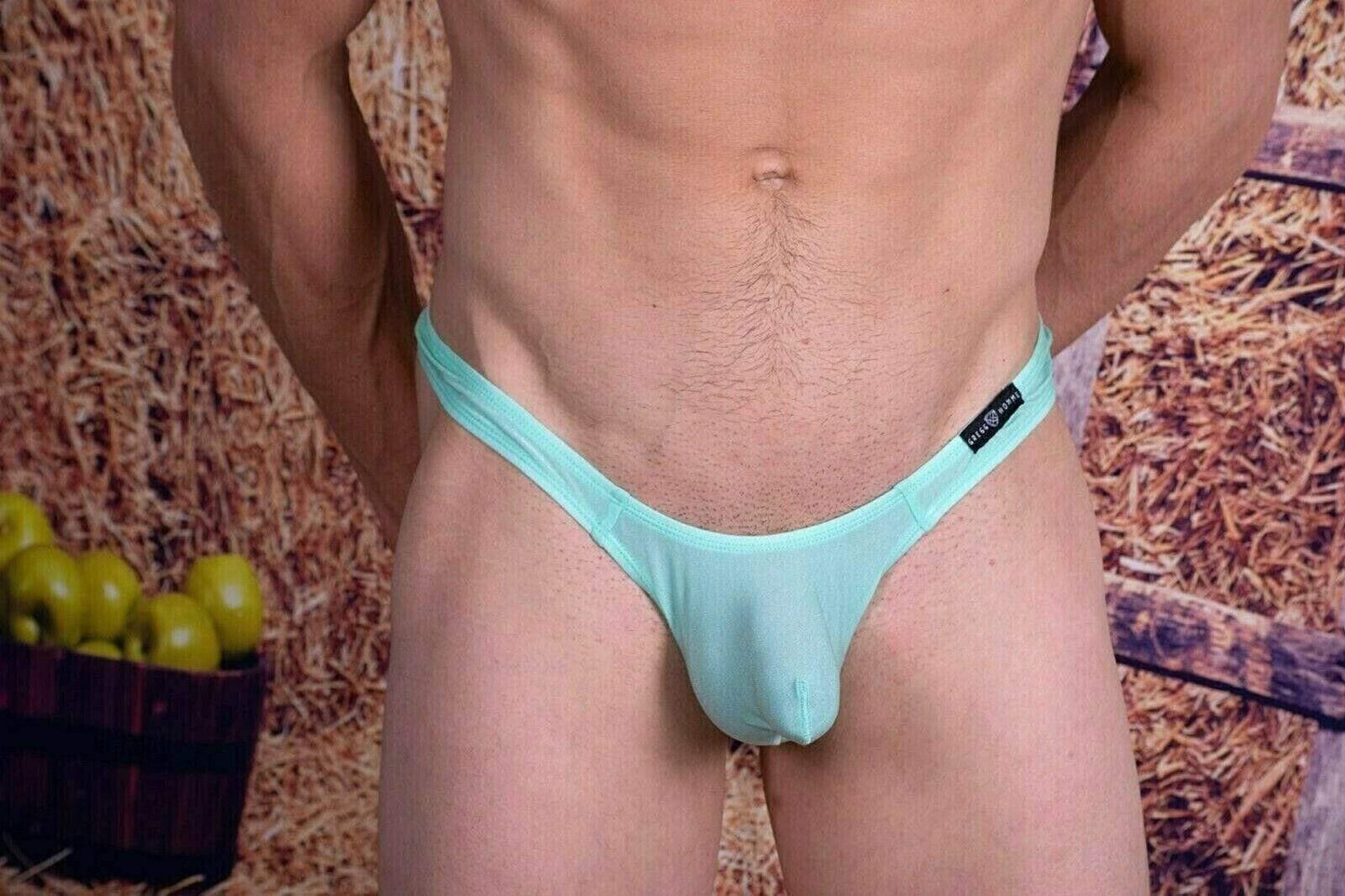 Gregg Homme Mint Torridz Thong