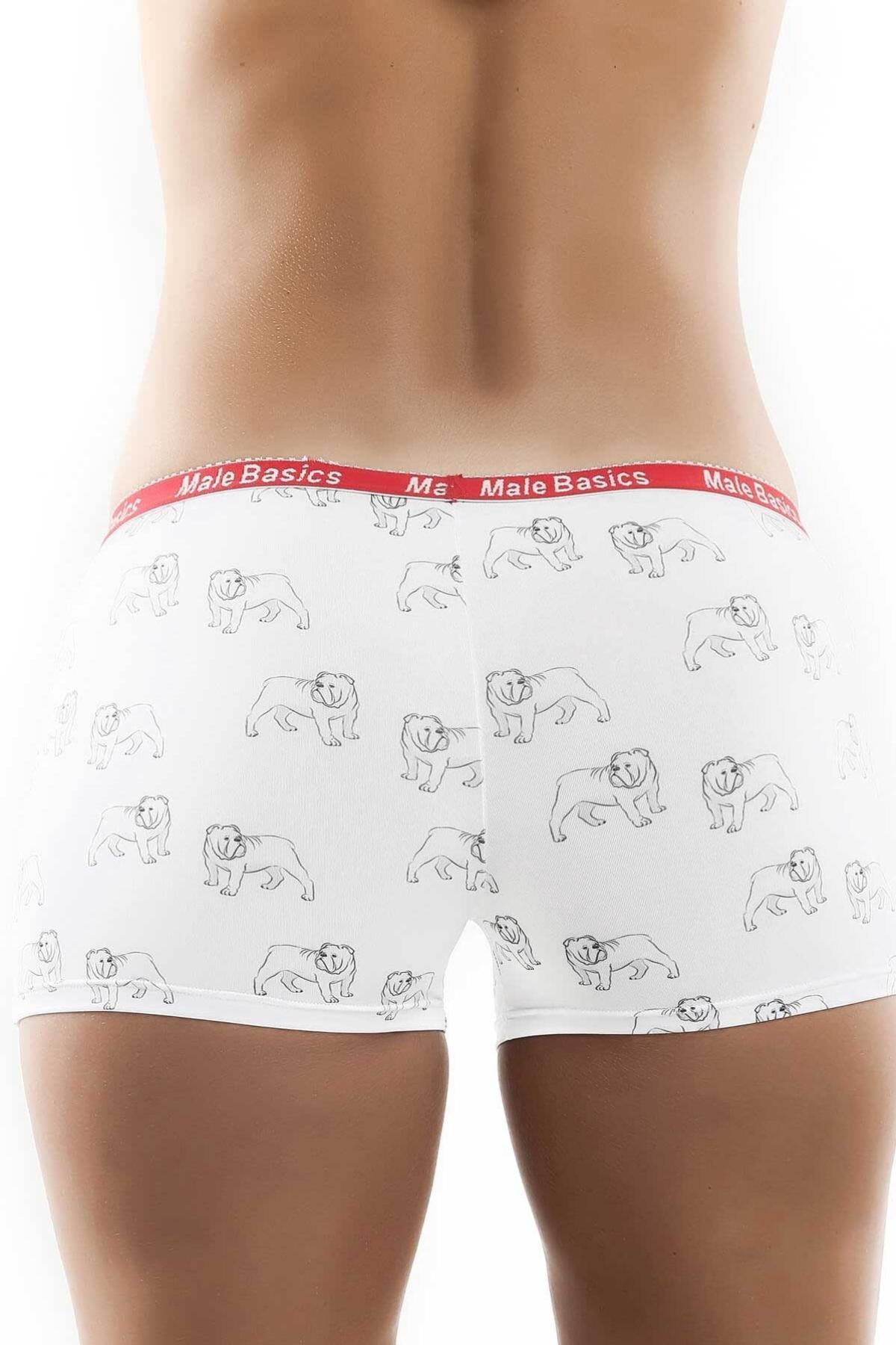 Male Basics White SoCal Bull Dog Boxer