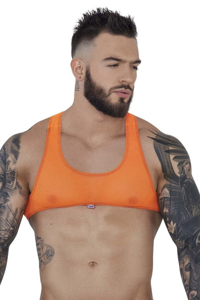 Pikante Orange Sonar Crop Top