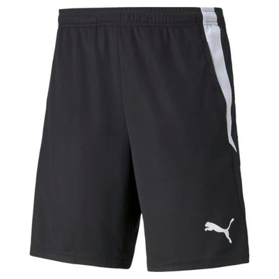 Puma Liga Training Piping Shorts multi
