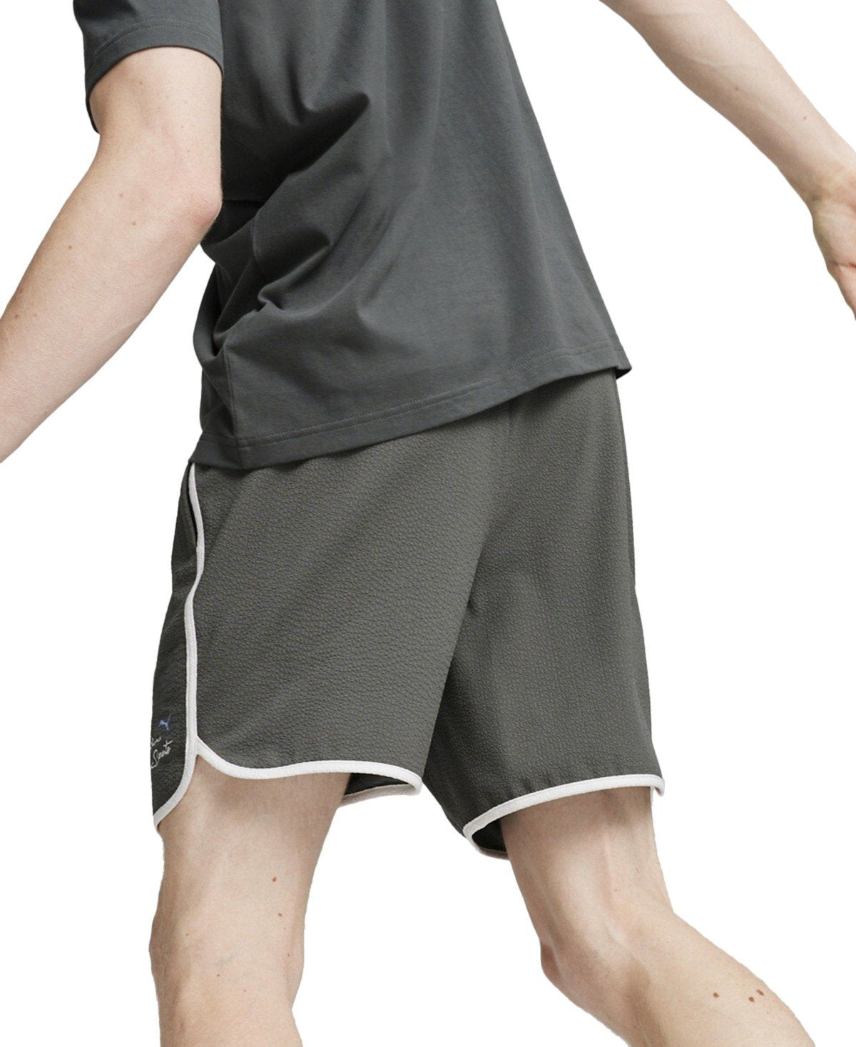 Puma Regular Fit Casual Shorts / 6 Grey Solid gray