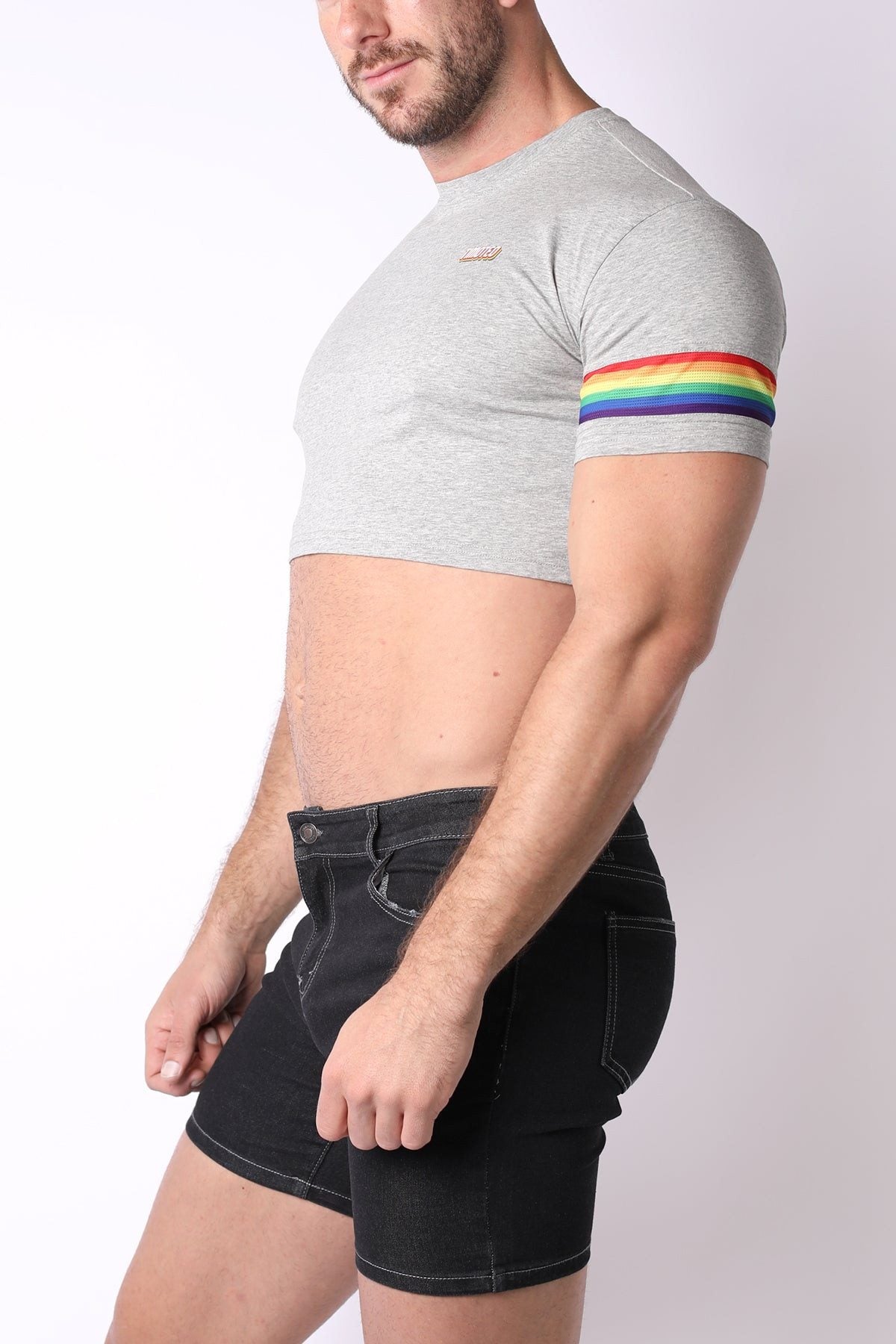 Timoteo PRIDE 23 Grey Crop Top