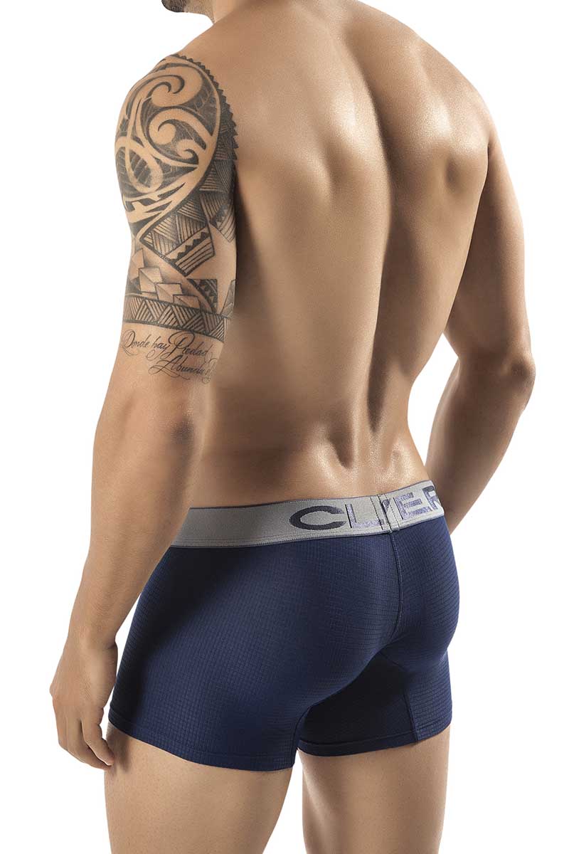 Clever Blue Burdeos Latin Boxer