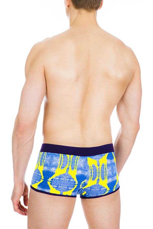 Ken Wroy Blue Giraffe Low-Trunk