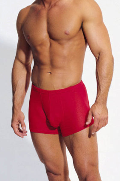 Contour Red Mesh Boxer Brief