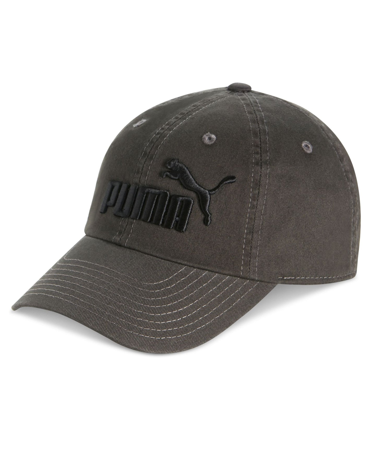 Puma Logo Cap