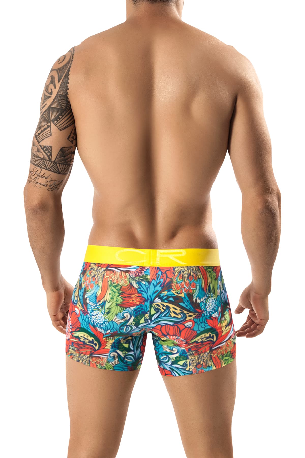 Clever Yellow Elemental Boxer