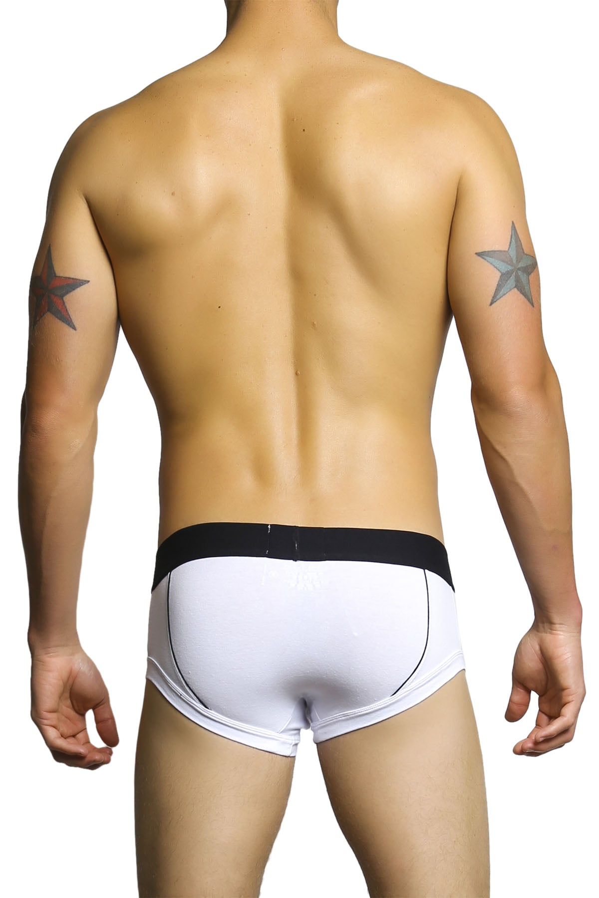 James Tudor White Military Fall Brief