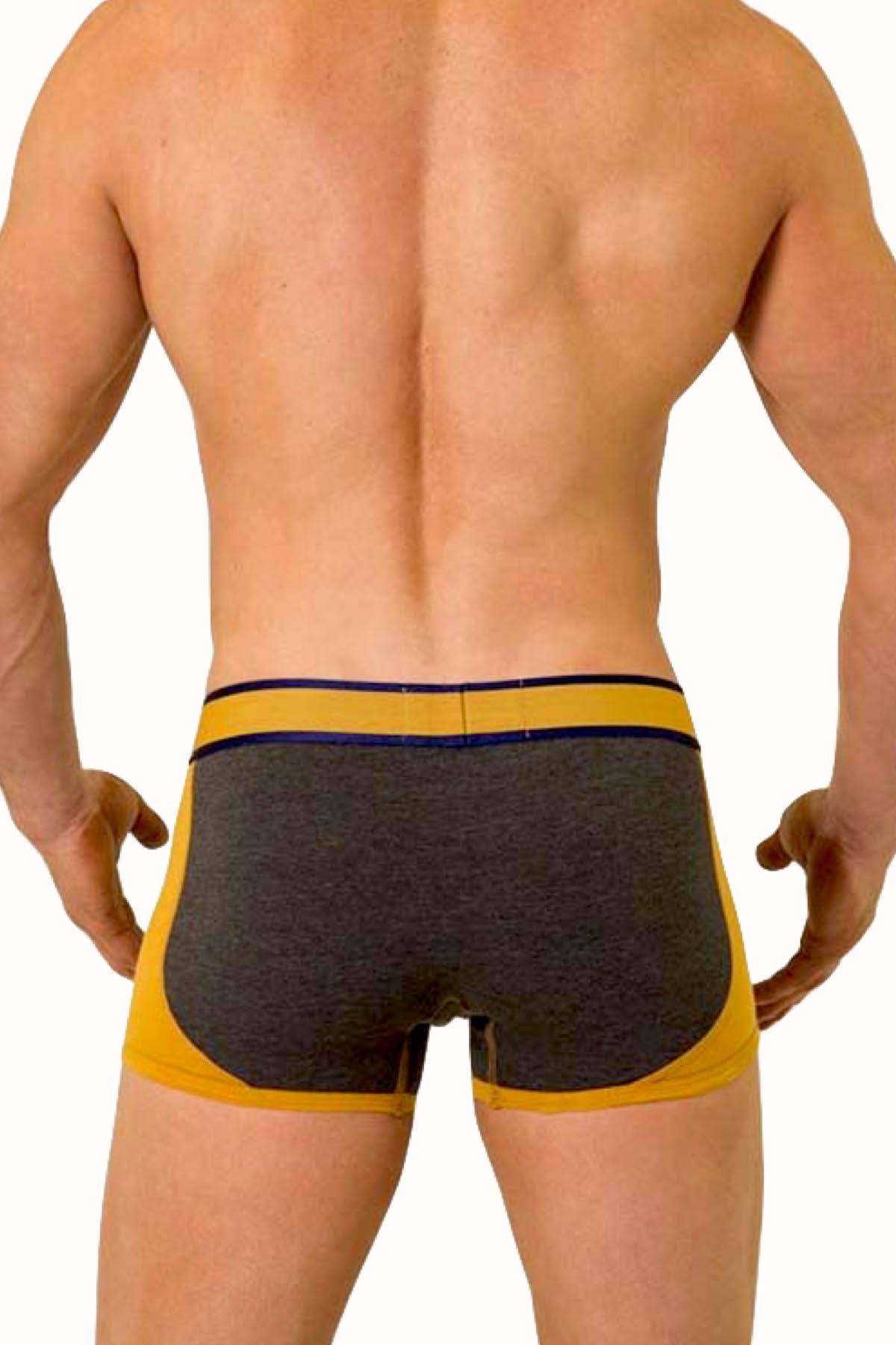 Baskit Cement America Low-Rise Trunk