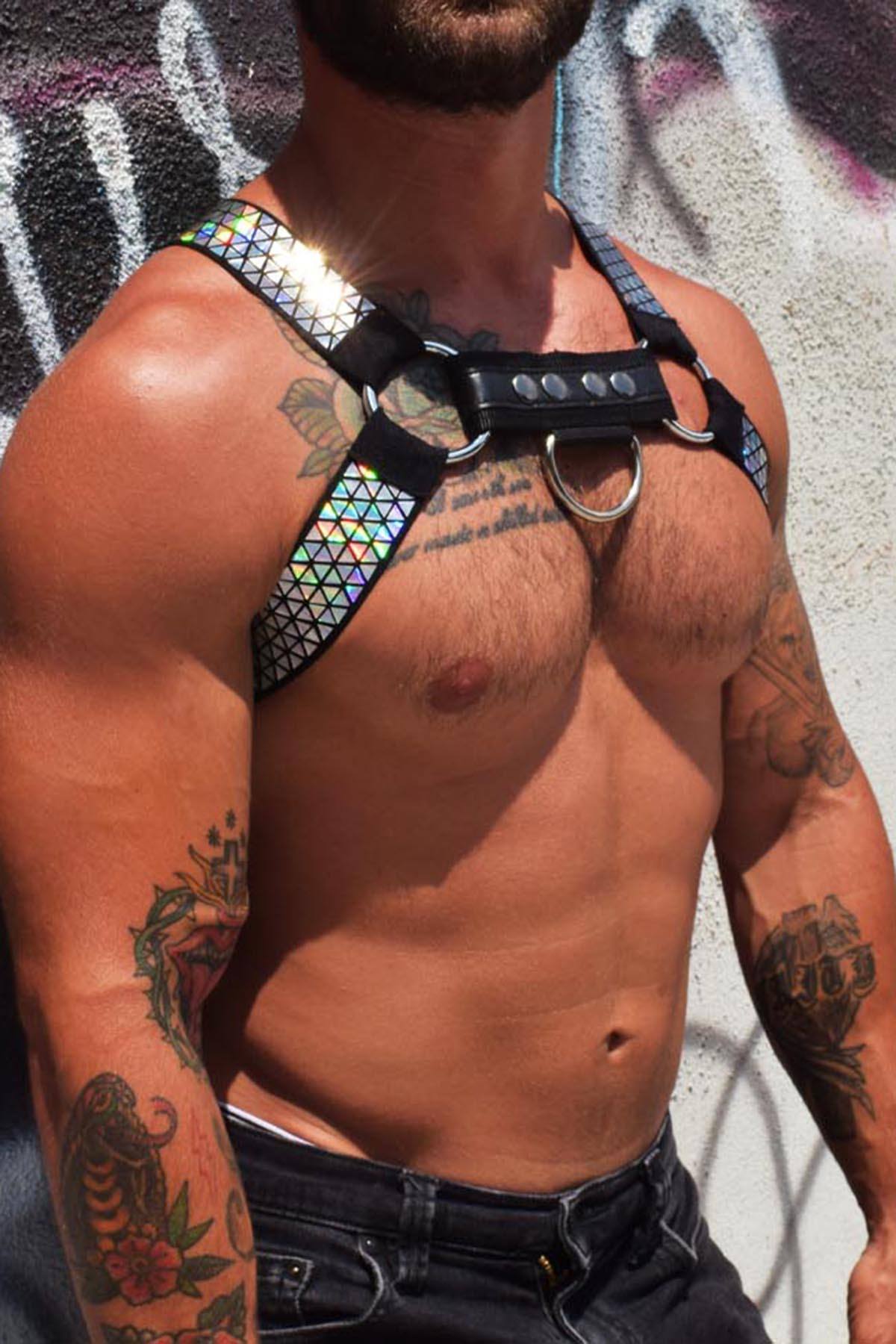 Breedwell Rainbow Circuit Harness