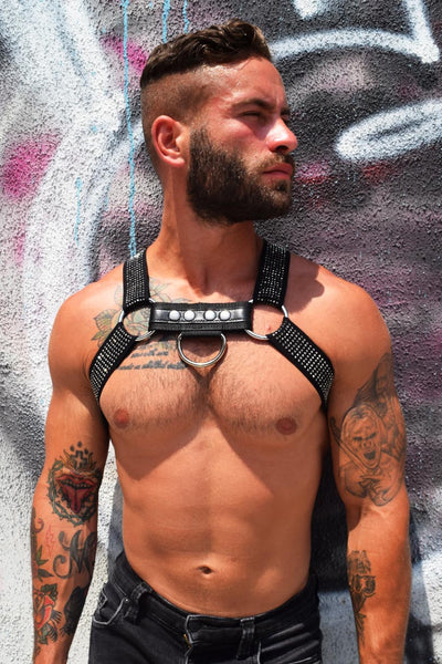 Breedwell Silver CIRCUIT HARNESS - WITH D-RING