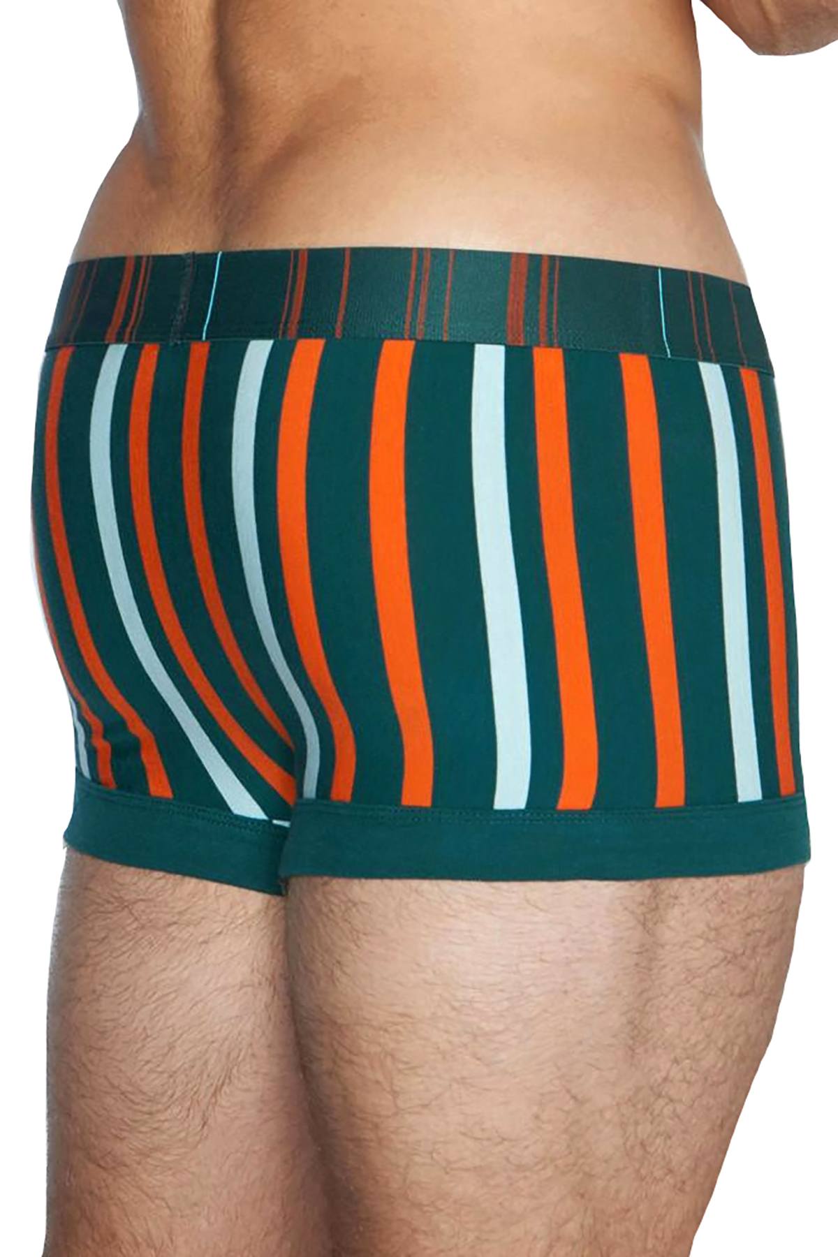 C-IN2 Big-Bush Spectrum Trunk