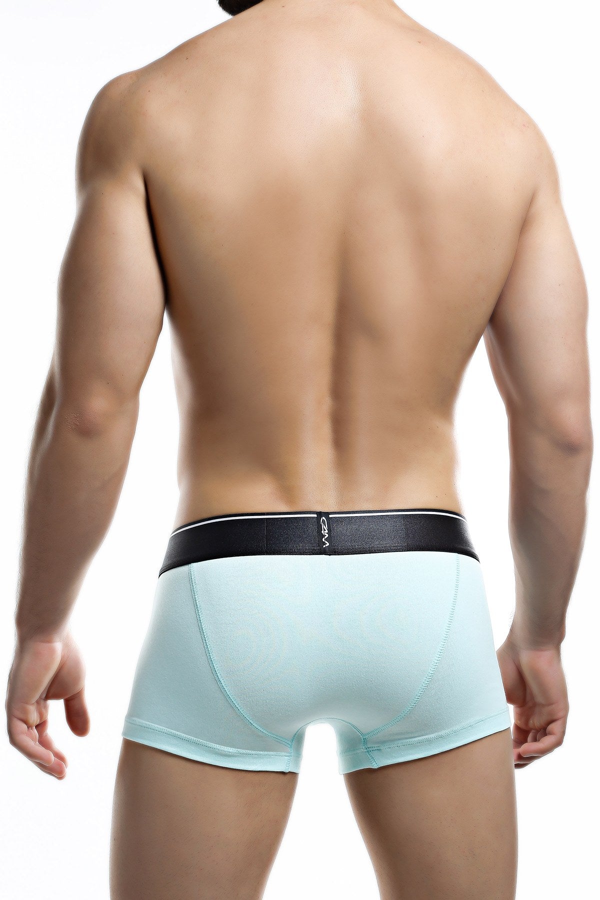 C4M Aqua Elemental Trunk