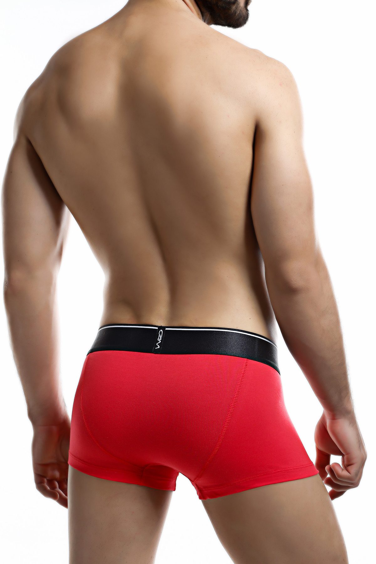 C4M Cherry Elemental Trunk