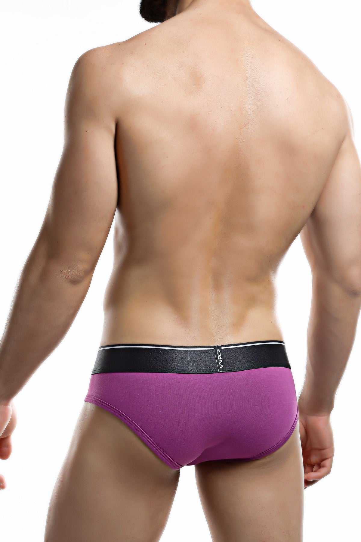 C4M Violet Elemental Brief