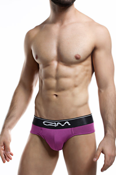 C4M Violet Elemental Brief