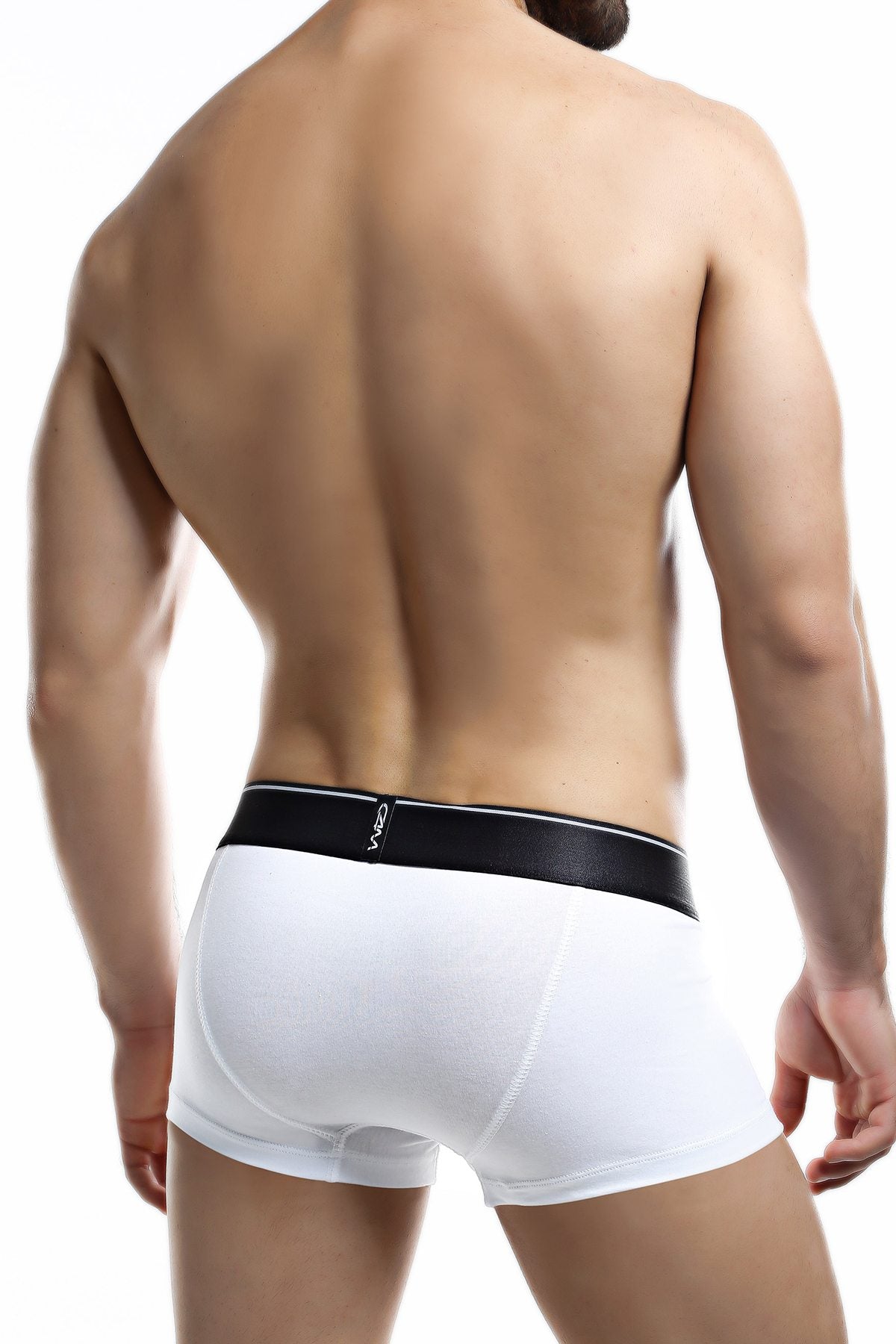 C4M White Elemental Trunk