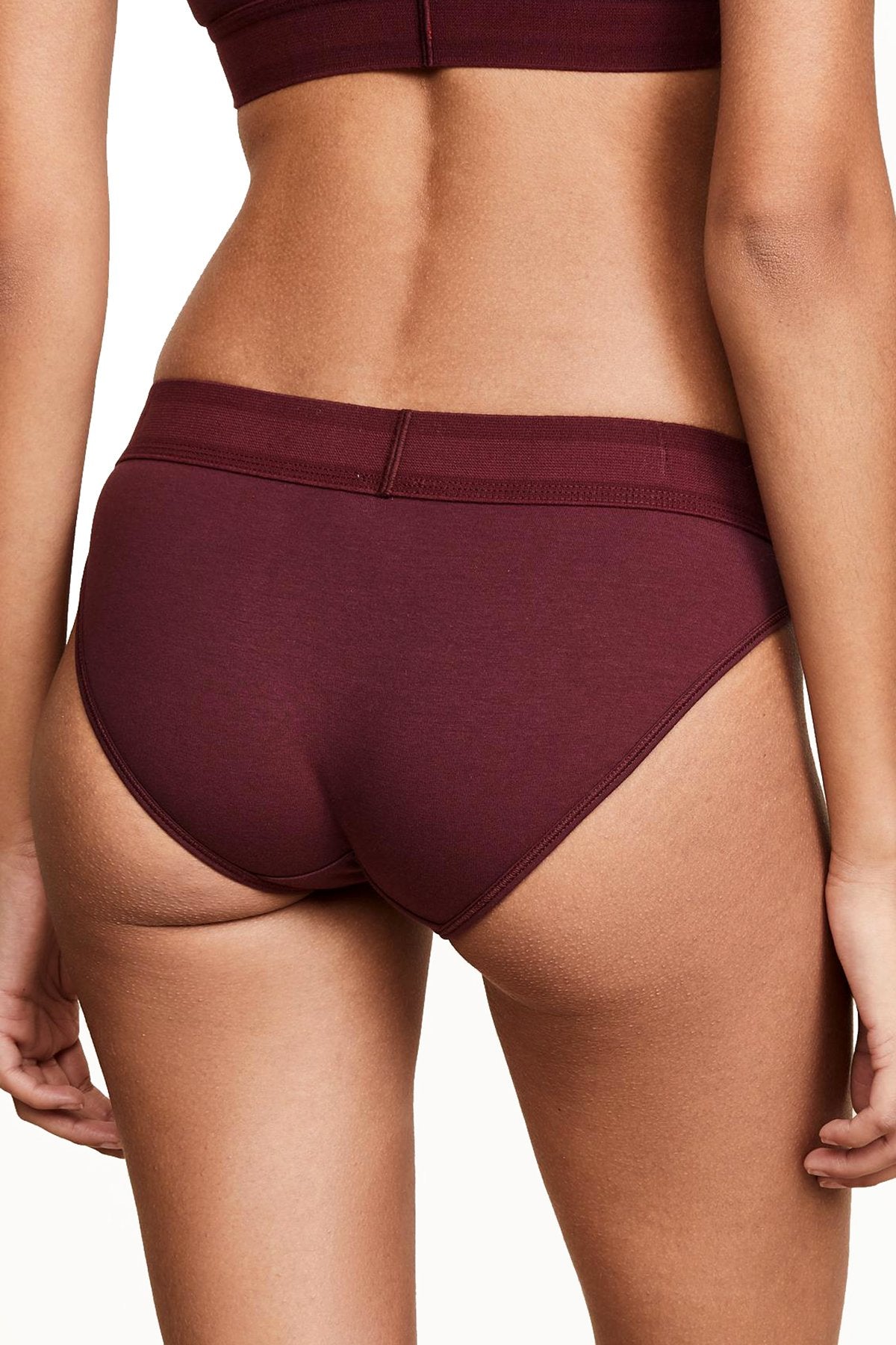 Calvin Klein Monogram Waist Bikini Brief in Phoebe Burgundy