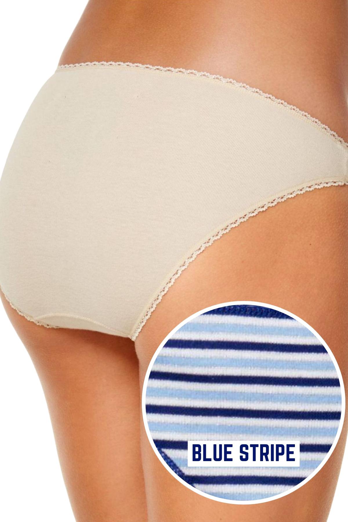 Charter Club Intimates Blue/Stripe Pretty Cotton Bikini Brief