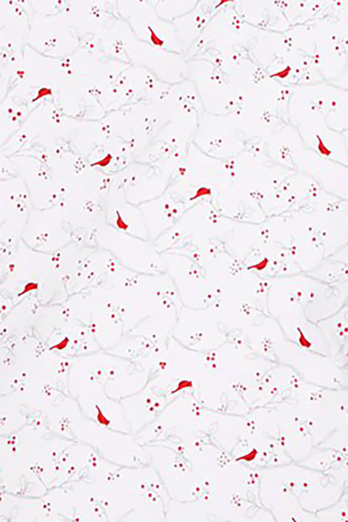 Charter Club Intimates PLUS Cardinal-Print Long Cotton Nightgown
