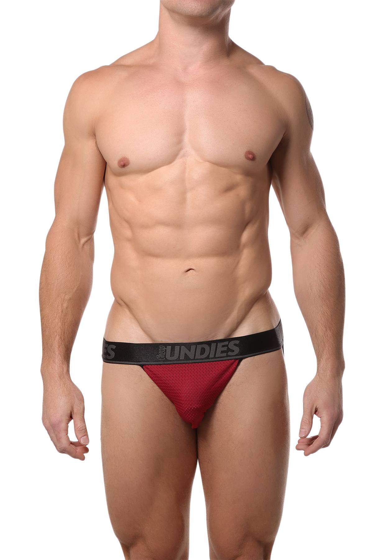 CheapUndies Brick-Red Mesh Bikini Brief