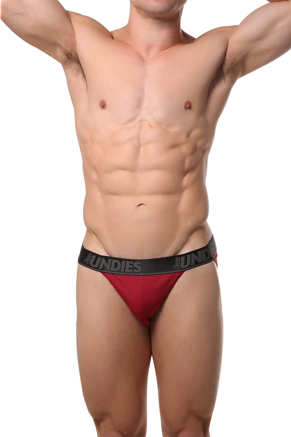 CheapUndies Brick-Red Mesh Bikini Brief