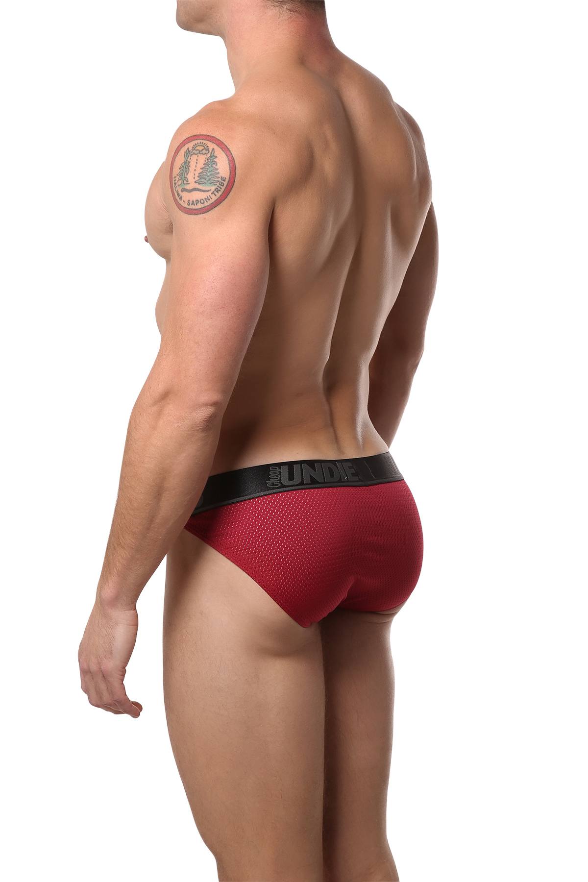 CheapUndies Brick-Red Mesh Bikini Brief