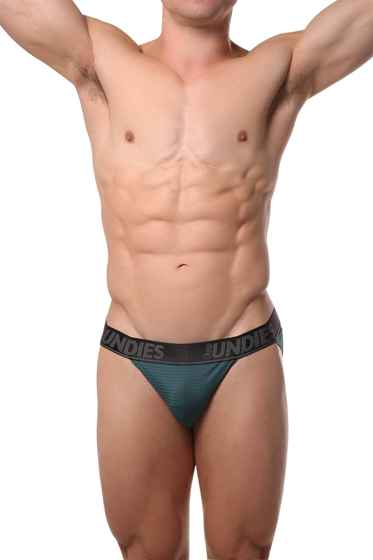 CheapUndies Peacock Mesh Bikini Brief