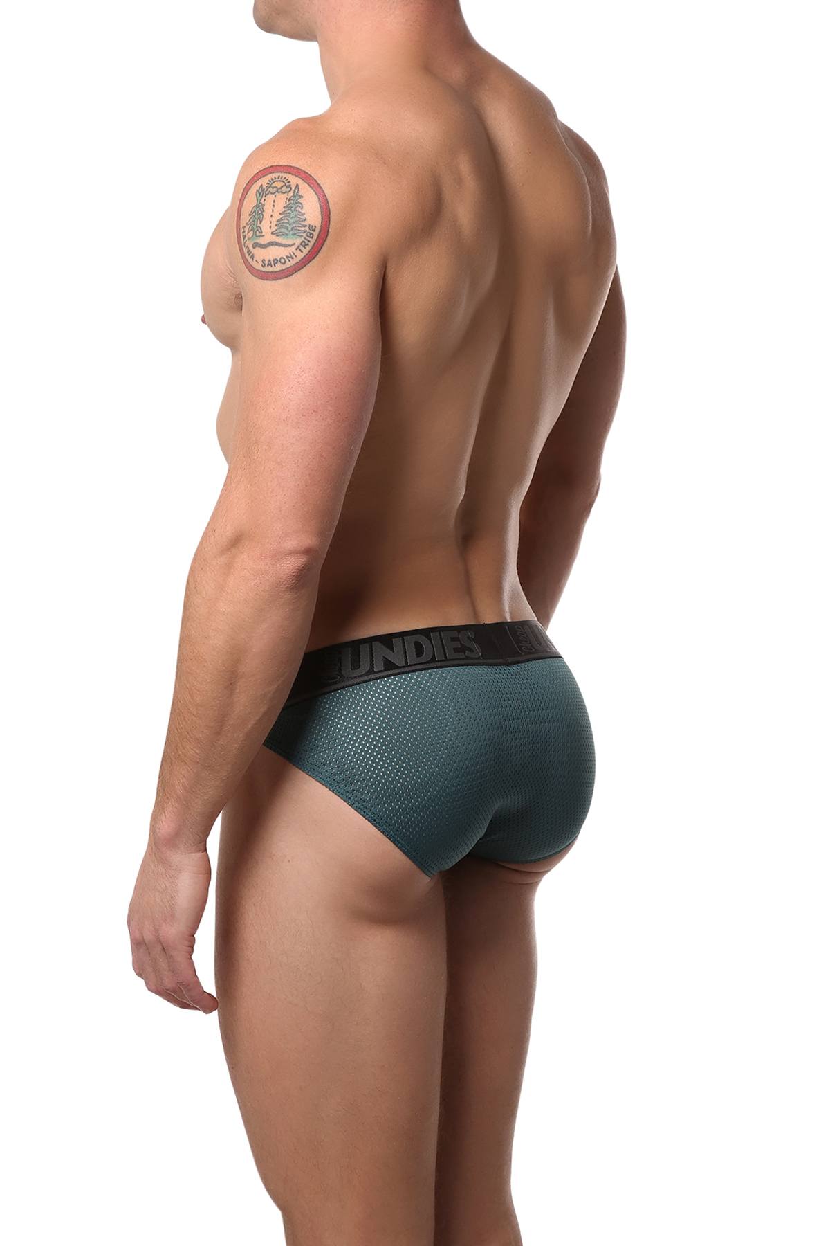 CheapUndies Peacock Mesh Bikini Brief