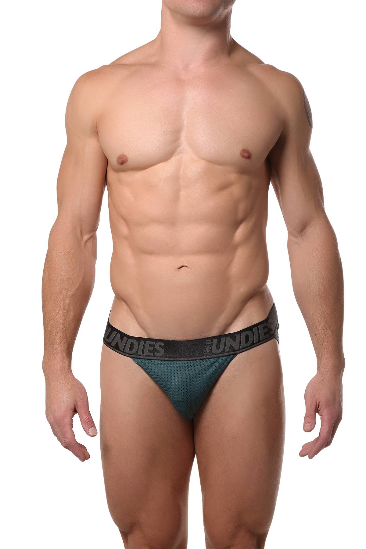 CheapUndies Peacock Mesh Bikini Brief