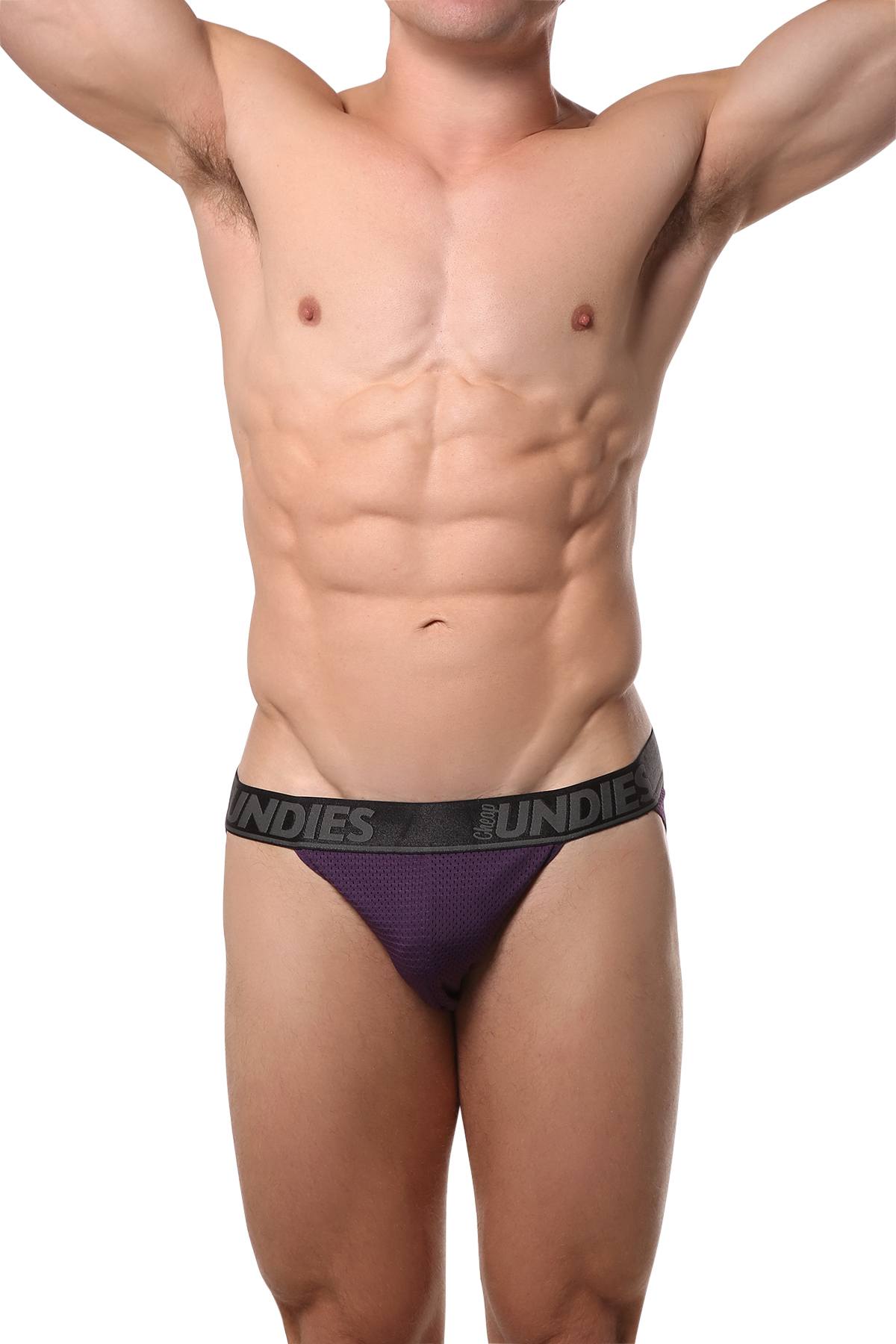 CheapUndies Purple Mesh Bikini Brief