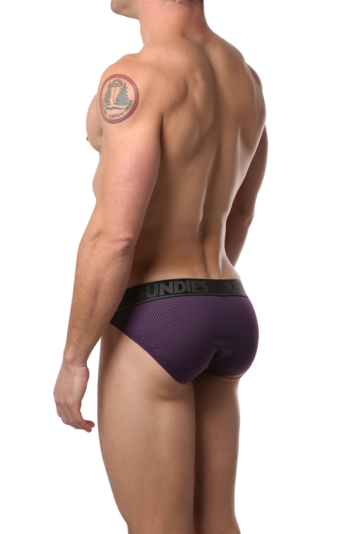 CheapUndies Purple Mesh Bikini Brief