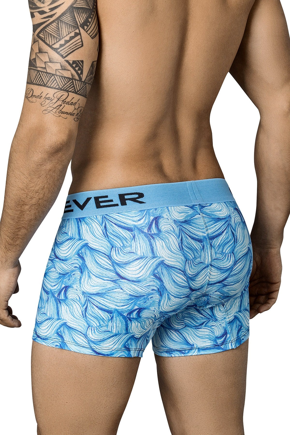 Clever Blue Wind Trunk