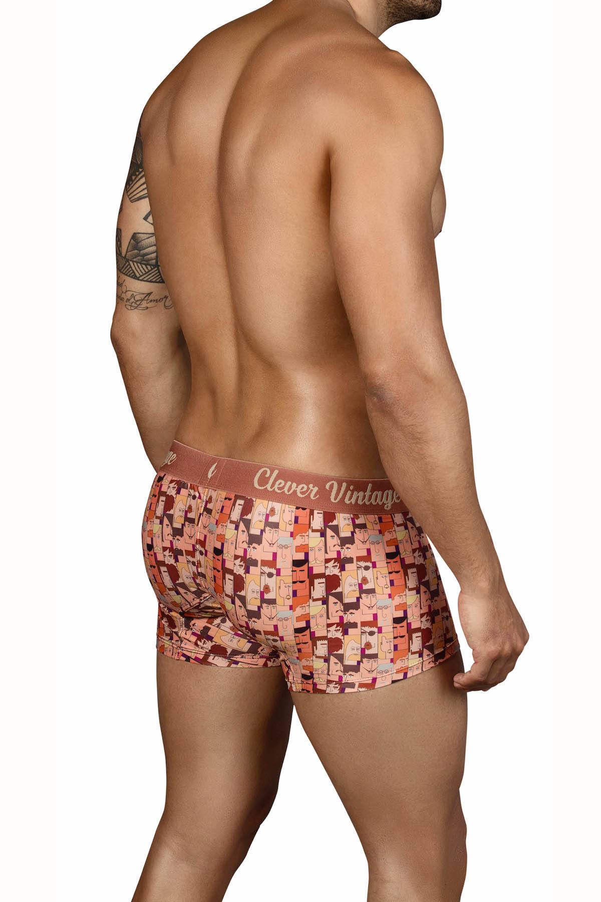 Clever Brown Cartoon Boxer Brief