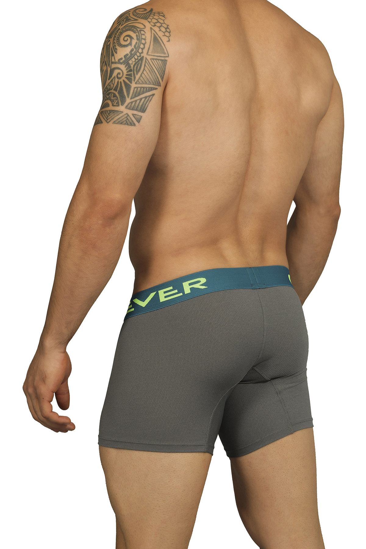 Clever Limited Edition Grey Boxer 229903
