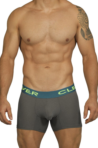 Clever Limited Edition Grey Boxer 229903