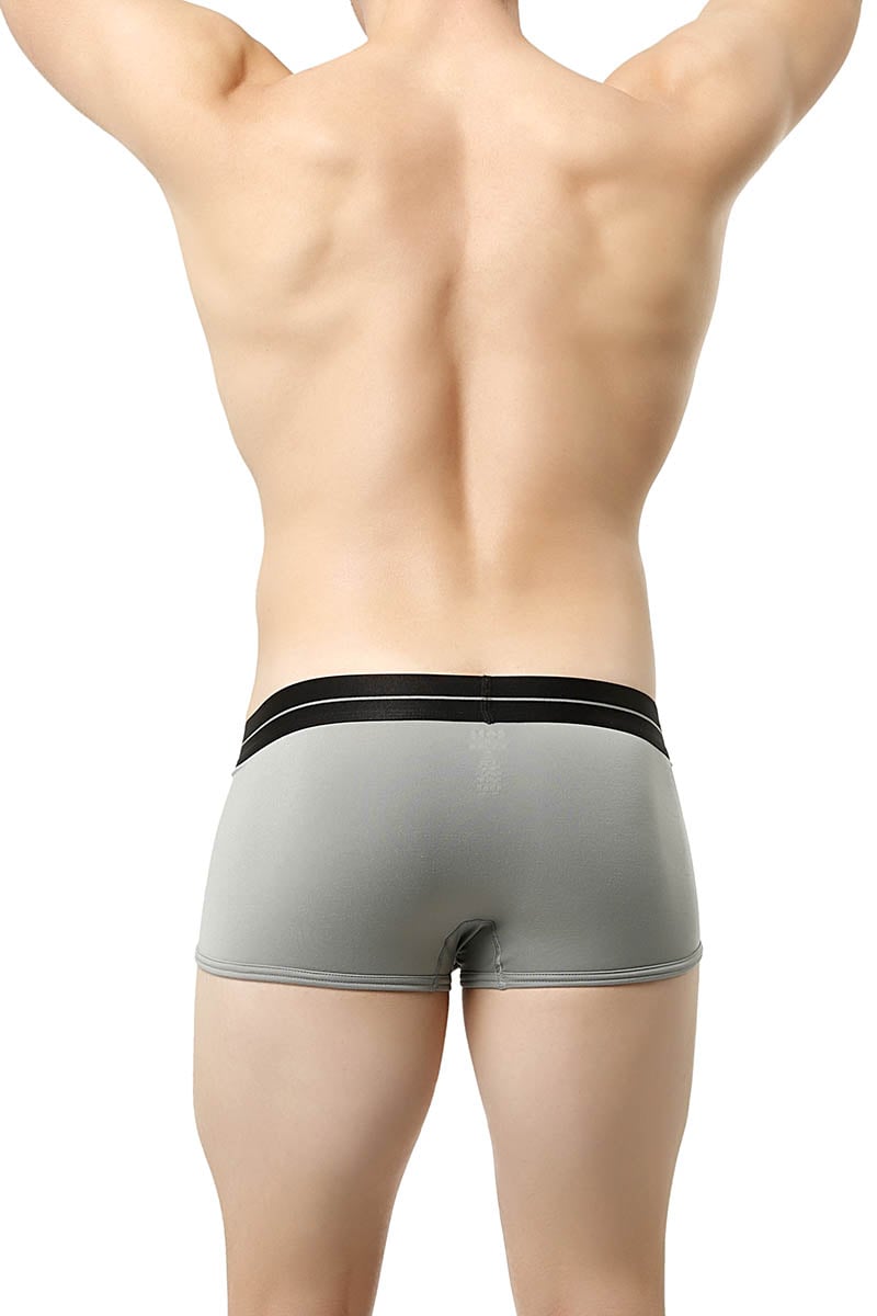 Core Grey Power Boxer Trunk