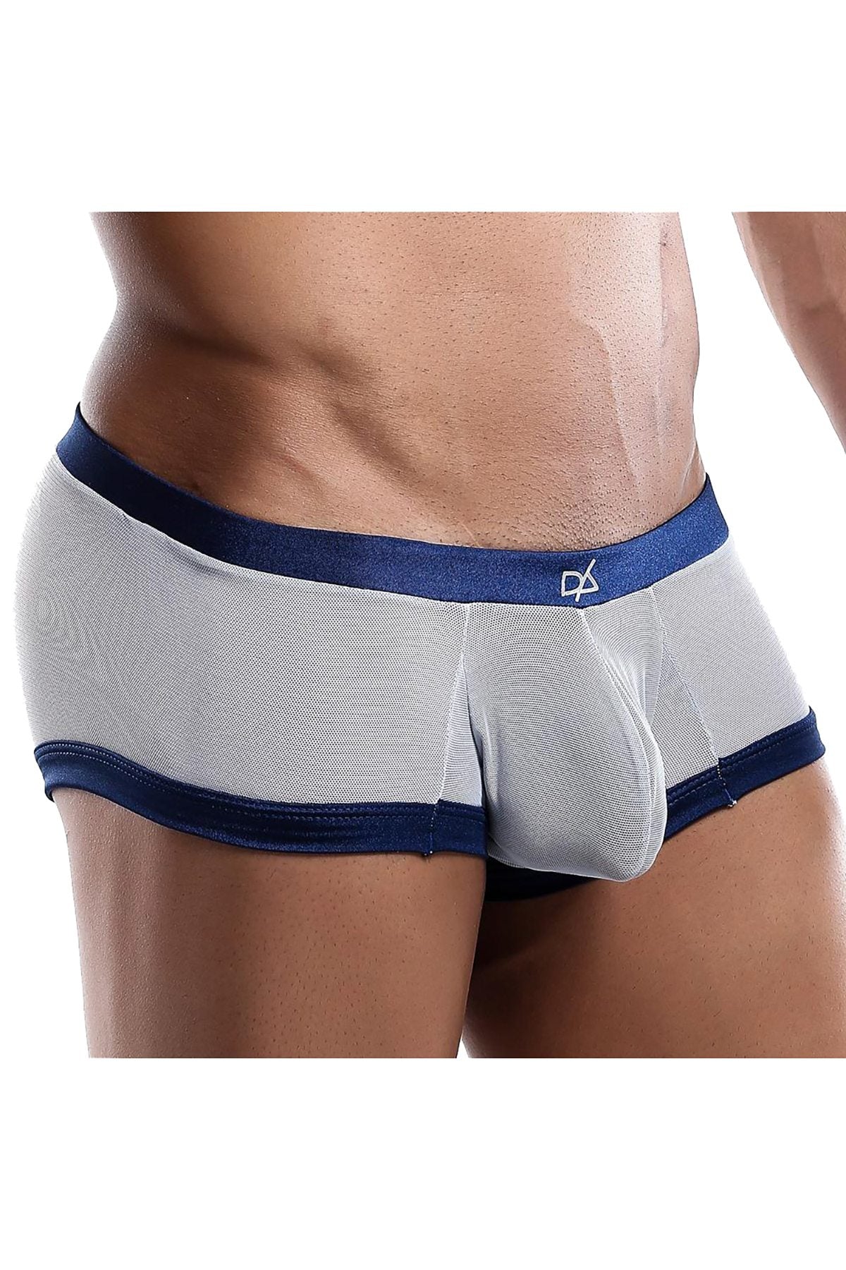 Daniel Alexander Grey/Navy Sheer Contrast Trunk
