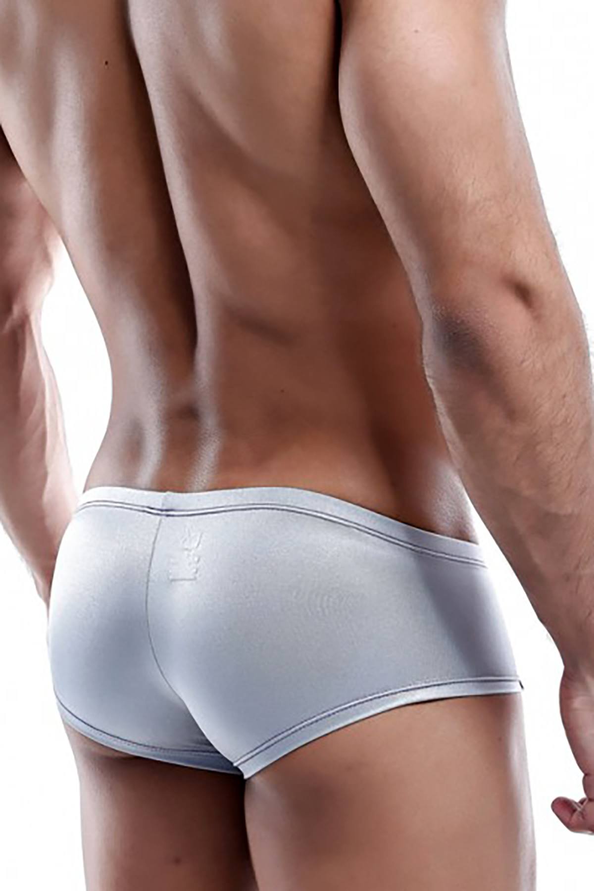 Daniel Alexander Grey/Purple-Stripe Trunk