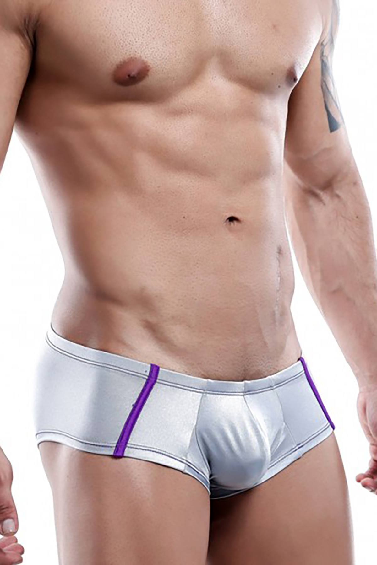 Daniel Alexander Grey/Purple-Stripe Trunk