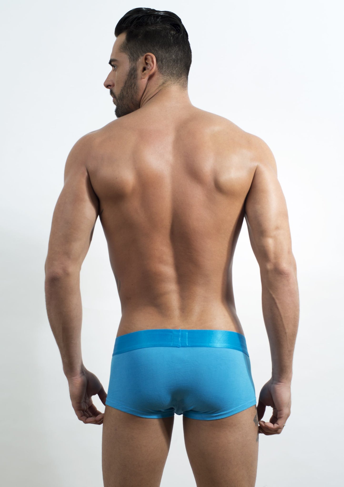 Discover Blue Ice Cream Trunk